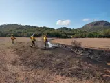 Declarado un incendio forestal en Santa Eulàlia (Menorca)