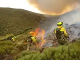 Seis incendios forestales que han arrasado 120 hectáreas, balance semanal de actuaciones del Plan Infoex