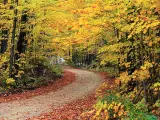 El otoño llegará este miércoles 22 de septiembre a las 21.21 horas