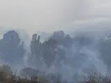 Incendios.- Extinguido el incendio forestal en el paraje Cerro del Mesto de Mijas, con 10 hectáreas afectadas