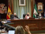 Pleno de Marbella insta a Gobierno a mantener acceso a Puerto Banús desde A-7 por calle Antonio El Bailarín
