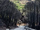 Adelante Andalucía lleva al Senado una proposición de ley para proteger Sierra Bermeja como Parque Nacional
