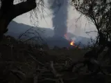 El Gobierno central evalúa las consecuencias de la erupción de La Palma sobre la actividad pesquera