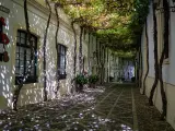 La calle Ciego en la bodega Tío Pepe