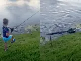 Un caimán roba la presa de un niño de siete años en Florida.