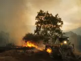 Gobierno aprueba 299.952 euros para la recuperación ambiental de las zonas afectadas por el incendio de El Tiemblo