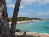 Sancionado un chiringuito del Parque Natural de Ses Salines (Ibiza) por incumplir la normativa medioambiental