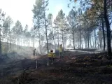 La campaña de peligro alto de incendios en Extremadura acaba con 5.227 hectáreas afectadas, un 25% menos que en 2020