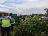 La Policía Nacional recurre a drones para controlar la vendimia y combatir la explotación laboral en Rioja Alavesa