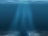 Plancton en el mar