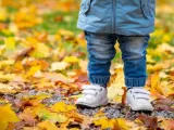 Los bosques oto&ntilde;ales son una maravilla para descubrir esta &eacute;poca.