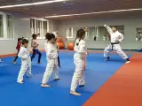 Niños aprendiendo kárate sobre el tatami.