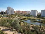 El parque La Marjal, junto a la playa de San Juan de Alicante, se han visto beneficiados de la buena gestión del agua.