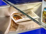 Billete Lotería Nacional