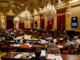 El Parlament insta al Govern a incentivar el relevo generacional en el sector primario