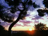 Atardecer en Madrid desde el Palacio Real.