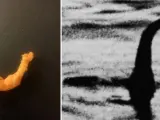 El supuesto cheeto con forma de monstruo del lago Ness y una de las fotos más famosas del mito.