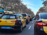 Taxistas manifestándose para poder poner cámaras de seguridad en sus vehículos.