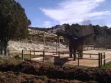 Dinosaurios en Burgos, en La Pedraja, Sierra de la Demanda.