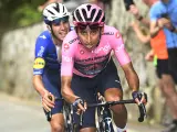Egan Bernal, durante el Giro de Italia