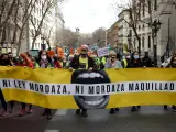 Manifestación este domingo en Madrid protestando una reforma de la Ley de Seguridad Ciudadana.