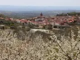 Puede entonces que tu elección sea Pasarón de la Vera, en Cáceres. También denominado como el 'pueblo del amor', este municipio ha sido seleccionado como el pueblo español preferido para una escapada en pareja.