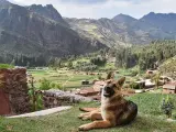 En plenas monta&ntilde;as de Per&uacute; se pod&iacute;an apreciar estas espectaculares vistas desde un alojamiento en el que la noche sal&iacute;a por menos de 10 euros. (Foto: Reddit/ObamasLoveChild)