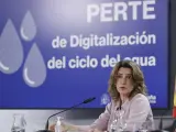 La ministra para la Transici&oacute;n Ecol&oacute;gica, Teresa Ribera