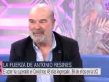 Antonio Resines en 'El programa de Ana Rosa'.