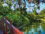 Jard&iacute;n del Hotel Bot&aacute;nico, en Tenerife.