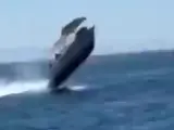 Momento en que una ballena choca contra una embarcación en Baja California Sur (México), en una captura de vídeo.