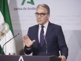 El consejero de Presidencia en funciones, El&iacute;as Bendodo.