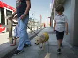 Un perro guía con su familia subiendo al metro.