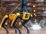 El perro robot de Boston Dynamics presenta nuevas funciones.