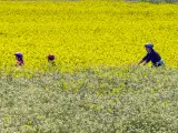 La v&iacute;a verde del Carrilet II tiene casi 40 km de longitud.