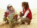 La reina Letizia ha aprovechado su viaje de cooperación a Mauritania para visitar los huertos en el desierto plantados hace un mes en el proyecto Huertos en Nuakchot. Pese a que ha sido sorprendida por una tormenta de arena, doña Letizia, ataviada con mascarilla y gafas de sol, ha podido adentrarse en algunos de los huertos para conocerlos, mientras los agricultores se afanaban por proteger los cultivos.