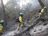 El incendio forestal de Pujerra (Málaga) ha sido estabilizado este 10 de junio de 2022.