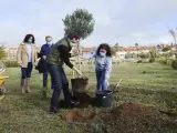El presidente de la Junta, Juanma Moreno planta un olivo.