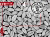 Podcast FAO y crisis alimentaria