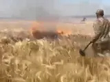Captura del vídeo en el que soldados rusos supuestamente prenden fuego a campos de cereales en Ucrania.