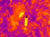 Las imágenes capturadas por un dron equipado con infrarrojos y cámara térmica, en servicio con el 47º Batallón de Infantería Motorizada de Ucrania, muestran a cuatro soldados rusos escapando hacia un bosque, en aparentemente después de escuchar que se acercaba el aparato.