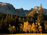 Parque Nacional de la Gran Cuenca.