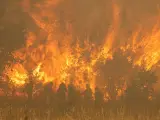 El incendio en Zamora es el más grande desde que se tiene registro en España.