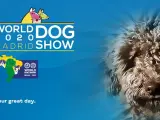 World Dog Show: el evento canino más grande del mundo para disfrutar en familia.