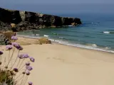 Una maravilla. Solo por pasar un d&iacute;a en esta playa merece la pena el viaje hasta el Alentejo. Forma parte del Parque Natural del Sudoeste Alentejano, por lo que se conserva pr&aacute;cticamente virgen. Es tan grande, que siempre podr&aacute;s encontrar un buen hueco en el que sentirte casi solo y disfrutar del sonido de Atl&aacute;ntico, siempre tan vivo. El l&iacute;mite de la arena lo marcan unas altas paredes verticales desde las que se obtienen unas vistas de impresi&oacute;n. Pero no te asustes, hay varios accesos acondicionados e incluso una zona para dejar el coche. Al terminar el d&iacute;a, es muy recomendable visitar la vecina Porto Covo y asomarse a sus acantilados al atardecer. Esa ser&aacute; la foto de tu verano.