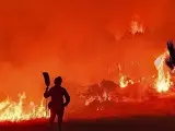 Un bombero observa impotente el avance del fuego y las llamas gigantescas en el incendio forestal de las Hurdes (Cáceres).