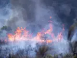 Incendio en el Parque Nacional de Monfrag&uuml;e, en el municipio de Deleitosa (C&aacute;ceres).