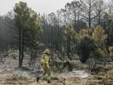 Incendio Ávila