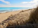 El Gobierno licita las obras de regeneración de las playas del Saler y Garrofera, en Valencia, y Les Deveses de Dénia