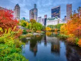 Central Park during autumn in New york City.